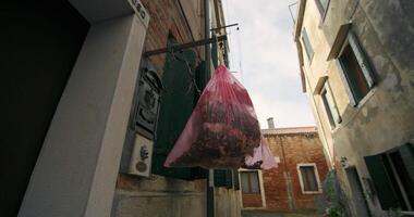 Close up of a bag of garbage on the streets of Venice, Italy. Cleaning the city from garbage, cleanliness and ecology. High quality 4k footage video