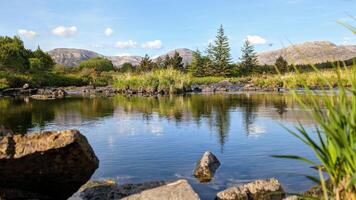 hermosa paisaje escenario, río con montañas y pino arboles reflexión, naturaleza antecedentes derryclare natural reserva a Connemara nacional parque, condado galway, Irlanda, fondo de pantalla foto