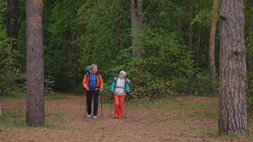 wandelen toerisme avontuur. senior paar Mens vrouw genieten van buitenshuis recreatie wandelen in Woud. gelukkig oud mensen backpackers wandelaars genieten wandelen wandeltocht trekking toerisme actief vakantie schoonheid van natuur video