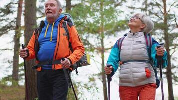 caminhada turismo aventura. Senior casal homem mulher desfrutando ao ar livre lazer caminhada dentro floresta. feliz velho pessoas mochileiros caminhantes apreciar caminhando caminhar caminhada turismo ativo período de férias beleza do natureza video