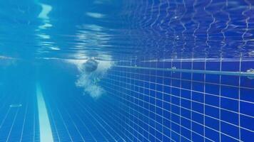 Under water view of professional female swimmer. Woman athlete swimmer training at swimming pool. Underwater view woman dives in pool. Underwater view of girl diving gliding underwater with bubbles video