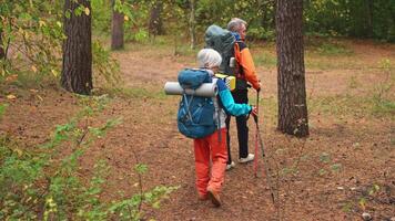 excursionismo turismo aventura. mayor Pareja hombre mujer disfrutando al aire libre recreación excursionismo en bosque. contento antiguo personas mochileros caminantes disfrutar caminando caminata trekking turismo activo vacaciones belleza de naturaleza video