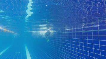 Under water view of professional female swimmer. Woman athlete swimmer training at swimming pool. Underwater view woman dives in pool. Underwater view of girl diving gliding underwater with bubbles video