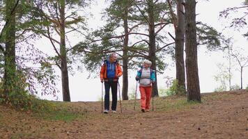 caminhada turismo aventura. Senior casal homem mulher desfrutando ao ar livre lazer caminhada dentro floresta. feliz velho pessoas mochileiros caminhantes apreciar caminhando caminhar caminhada turismo ativo período de férias beleza do natureza video