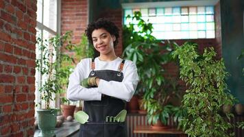 Laufen von besitzen Geschäft. afrikanisch Frau Florist tragen Schürze im botanisch Geschäft mit Grün Pflanzen. glücklich klein Geschäft Inhaber Arbeiten beim Blume Geschäft lächelnd umgeben durch Pflanzen klein Geschäft video