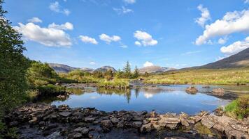 hermosa paisaje escenario, río con montañas y pino arboles reflexión, naturaleza antecedentes derryclare natural reserva a Connemara nacional parque, condado galway, Irlanda, fondo de pantalla foto