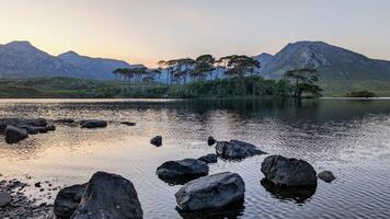 orilla del lago paisaje puesta de sol paisaje de doce pinos isla, derryclare lago a connemara, Galway Irlanda, naturaleza antecedentes foto