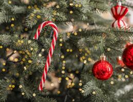 Christmas candy cane ornament. Merry holiday winter xmas tree with new year happy red gift. Noel photo