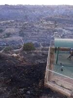 Forest fire and smoke in Jerusalem Israel photo