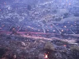 Forest fire and smoke in Jerusalem Israel photo