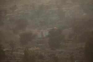 bosque fuego y fumar en Jerusalén Israel foto