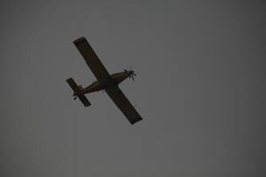 aire tractor en-802 fuego luchando aeronave pone fuera un bosque fuego foto