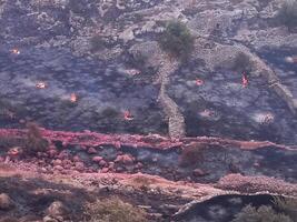 Forest fire and smoke in Jerusalem Israel photo