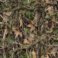 Leaves Branches Mossy Oak Tree Bark Camouflage photo