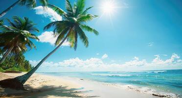 Sunny Beach with Palm Trees photo