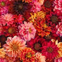 Dahlia Flowers Seamless Digital Pattern photo