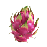 A dragon fruit is shown on a transparent background png