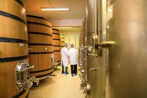 Professional winemaker controlling wine making process and quality at winery factory photo