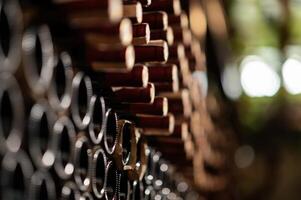 Row of wine bottles on a wooden shelf in a wine cellar photo