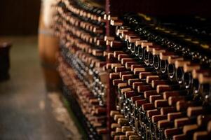 Row of wine bottles on a wooden shelf in a wine cellar photo