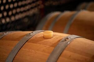 Old wooden wine barrels stacked in a cellar in order photo