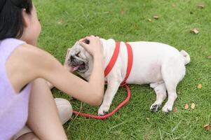 Happy asian woman playing with Cute Smart pug Puppy Dog In the Backyard photo