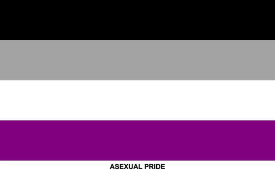 bandera de asexual orgullo, asexual orgullo bandera vector