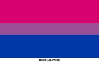 Flag of BISEXUAL PRIDE, BISEXUAL PRIDE national flag vector