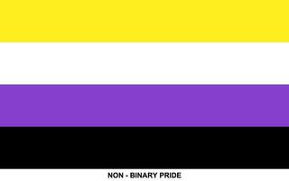 Flag of NON - BINARY PRIDE, NON - BINARY PRIDE flag vector