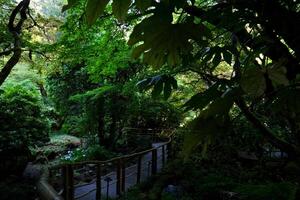 japonés jardín el famoso jardines de carnicero en victoria isla. Canadá. el butchart jardines foto