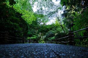 japonés jardín el famoso jardines de carnicero en victoria isla. Canadá. el butchart jardines foto