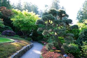 japonés jardín el famoso jardines de carnicero en victoria isla. Canadá. el butchart jardines foto