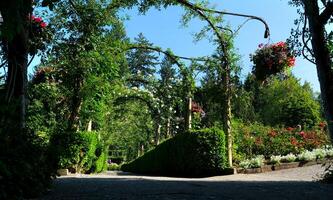 Rosa jardín el famoso jardines de carnicero en victoria isla. Canadá. el butchart jardines foto