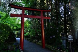 japonés jardín el famoso jardines de carnicero en victoria isla. Canadá. el butchart jardines foto