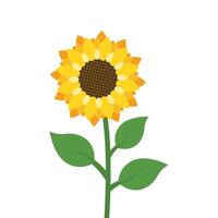 Sunflower icon in flat style. Flora illustration on isolated background. Sunflower sign business concept. vector