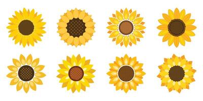 Sunflower icon in flat style. Flora illustration on isolated background. Sunflower sign business concept. vector