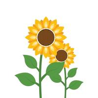 Sunflower icon in flat style. Flora illustration on isolated background. Sunflower sign business concept. vector
