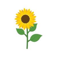 Sunflower icon in flat style. Flora illustration on isolated background. Sunflower sign business concept. vector