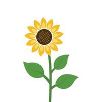 Sunflower icon in flat style. Flora illustration on isolated background. Sunflower sign business concept. vector