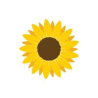 Sunflower icon in flat style. Flora illustration on isolated background. Sunflower sign business concept. vector