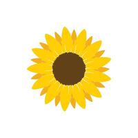 Sunflower icon in flat style. Flora illustration on isolated background. Sunflower sign business concept. vector