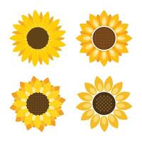 Sunflower icon in flat style. Flora illustration on isolated background. Sunflower sign business concept. vector