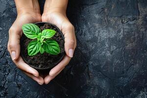 With hands delicately nurturing a young green plant in the fertile soil, the image encapsulates the profound significance of growth photo