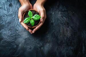 With hands delicately nurturing a young green plant in the fertile soil, the image encapsulates the profound significance of growth and ecological balance, Generated AI photo
