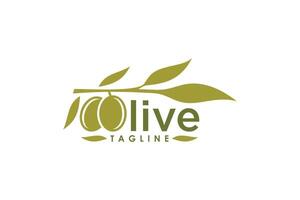 olive oil design simple concept vector