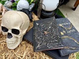 Black books on which the web is drawn and also snakes lie near human skull On Halloween they lie on the straw near them a lantern The spider is embossed in the center of the book photo