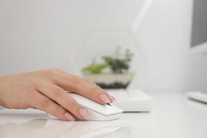 Woman typist using white keyboard and mouse to type and use computer photo