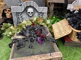 tombstone halloween slabs Skeletons head and bones Reeds on artificial green grass in the background It's written on the stone RIP There are also broken boards, spiders, baskets and crosses. photo