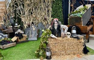 A skeleton in a red patch and an eye patch with a black patch looks at the camera he sits on the straw behind him tombstones Halloween he is in black vest with his head near his arm Skeleton of bird photo