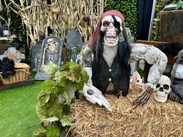 A skeleton in a red patch and an eye patch with a black patch looks at the camera he sits on the straw behind him tombstones Halloween he is in black vest with his head near his arm Skeleton of bird photo